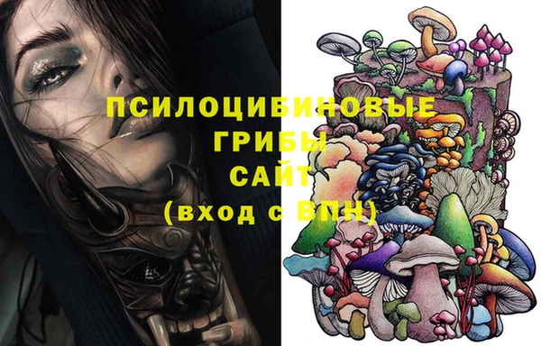 Альфа ПВП Магас