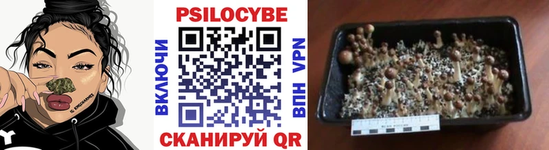 Галлюциногенные грибы мицелий  Ростов-на-Дону 