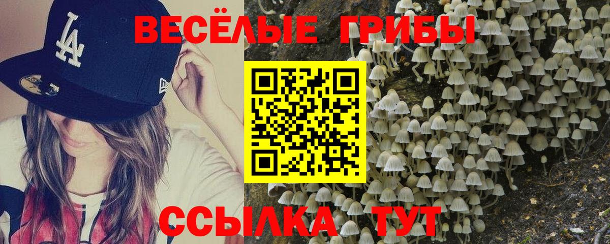 Галлюциногенные грибы Psilocybe Ростов-на-Дону